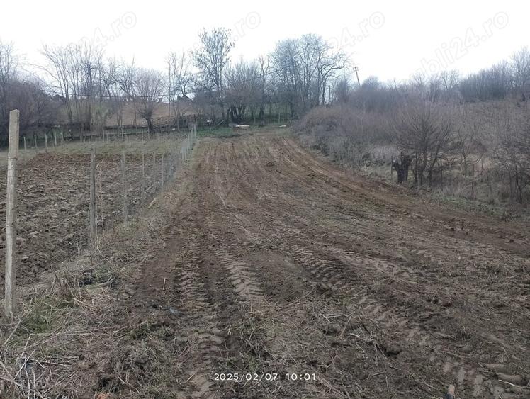 Teren de 600 mp, în Central
