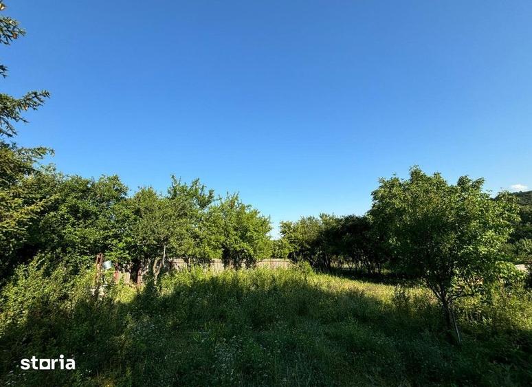 Teren de 2540 mp, în Miroslava