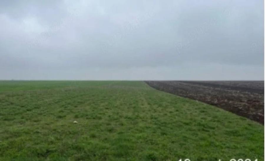 Teren de 29700 mp, în Frăsinet