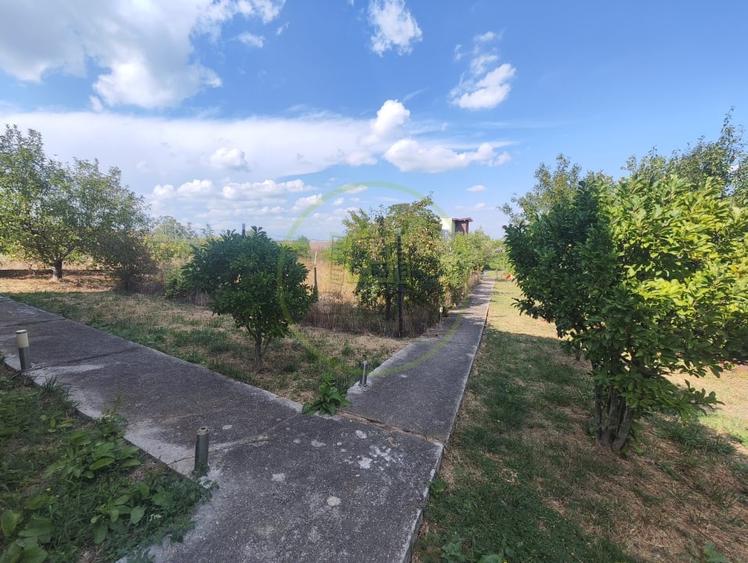 Casă individuală cu 4 camere cu Teren 557 Mp în Ghercești