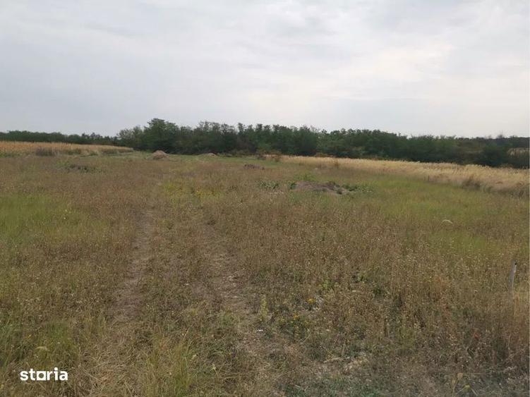 Vand teren extravilan in satul Boju - 1