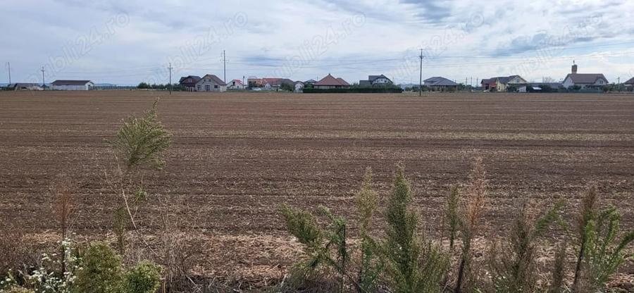 Teren de 500 mp, în Livada de Bihor