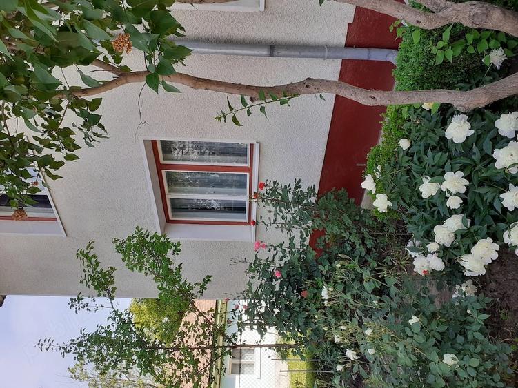 Casă cu 8 camere cu Teren 750 Mp în Tache