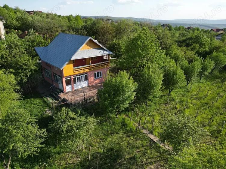 Casă cu 3 camere cu Teren 800 Mp în Bucium