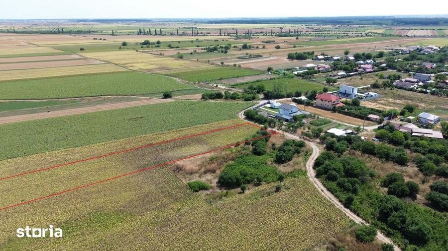 Teren de 10000 mp, în Crevedia