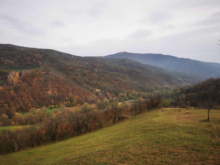 Casă cu 3 camere în Șelimbăr