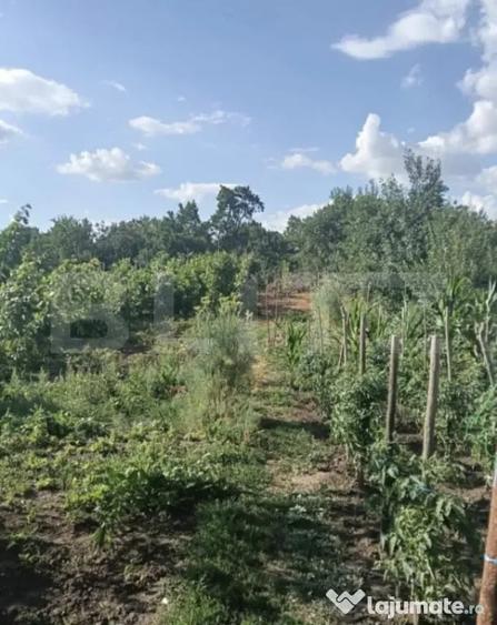 Casă cu 3 camere cu Teren 744 Mp în Unirea