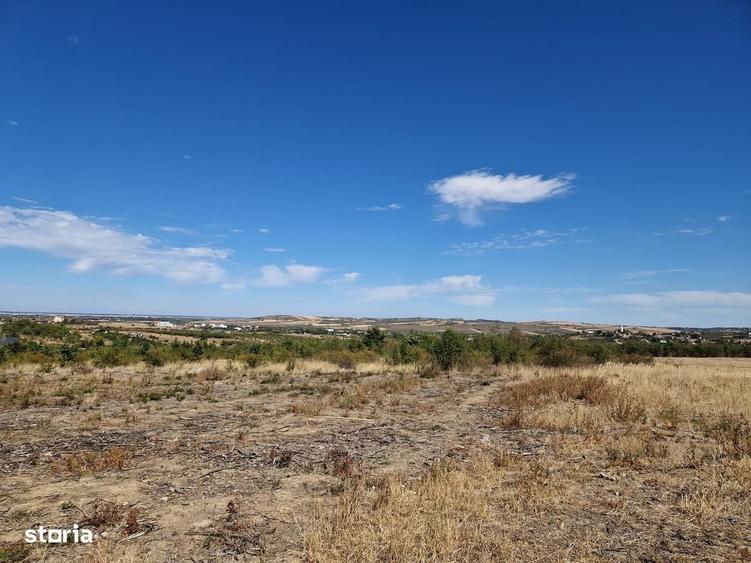 Teren de 3100 mp, în Paleu