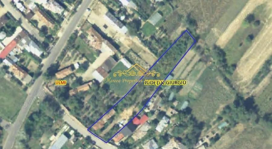 Teren de 7470 mp, în Trestieni