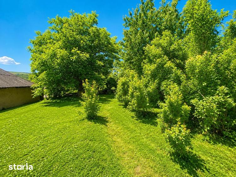 Casă cu 3 camere cu Teren 3000 Mp în Podu Roș