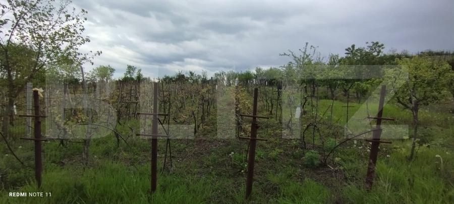 Teren Construcții de 2000 mp, în Tomești