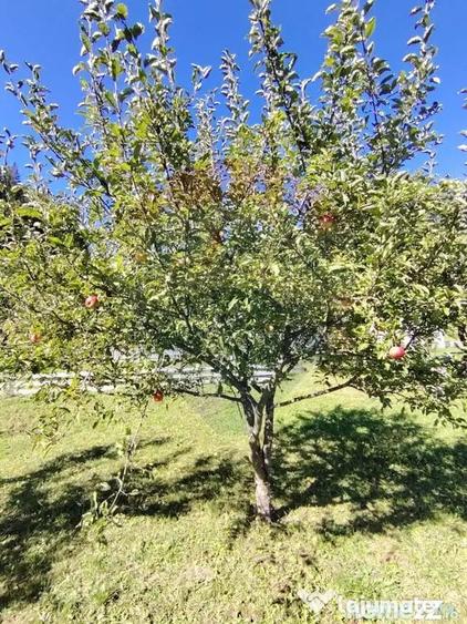 Casă cu 2 camere cu Teren 11541 Mp în Periferie