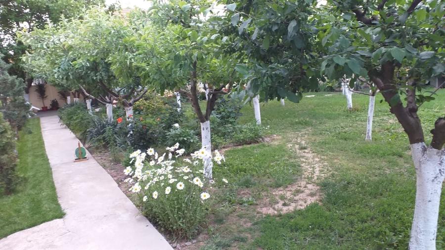 Casă cu 2 camere în Central