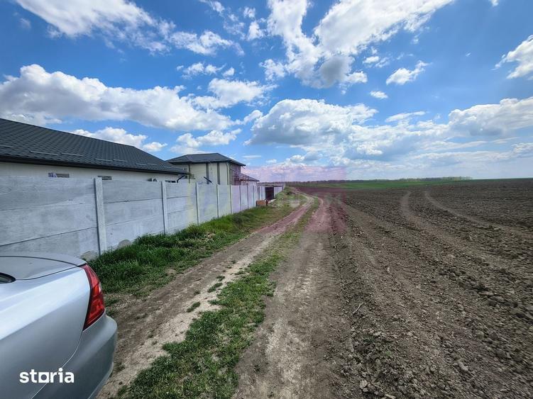 Teren de 3000 mp, în Cernica