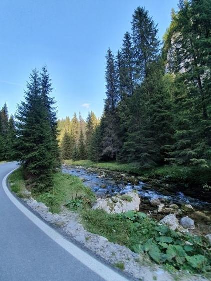 Teren extravilan de 500 mp, în Brădetu