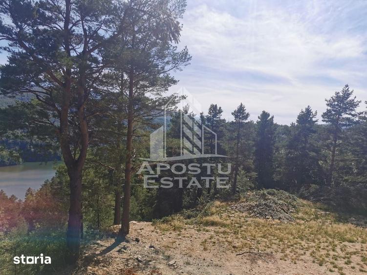 Teren intravilan, 2000mp, cu vedere panoramica spre lacul Valiug - 9
