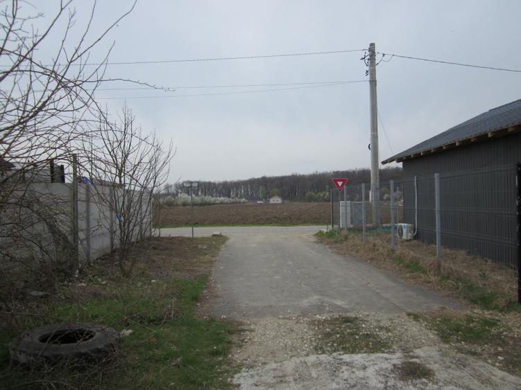 Teren Construcții intravilan de 646 mp, în Domnești