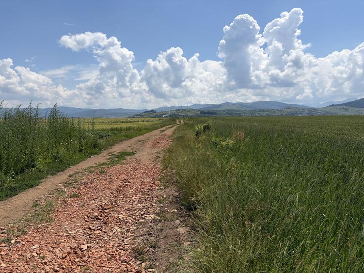 Teren agricol extravilan de 4300 mp, în Tărlungeni