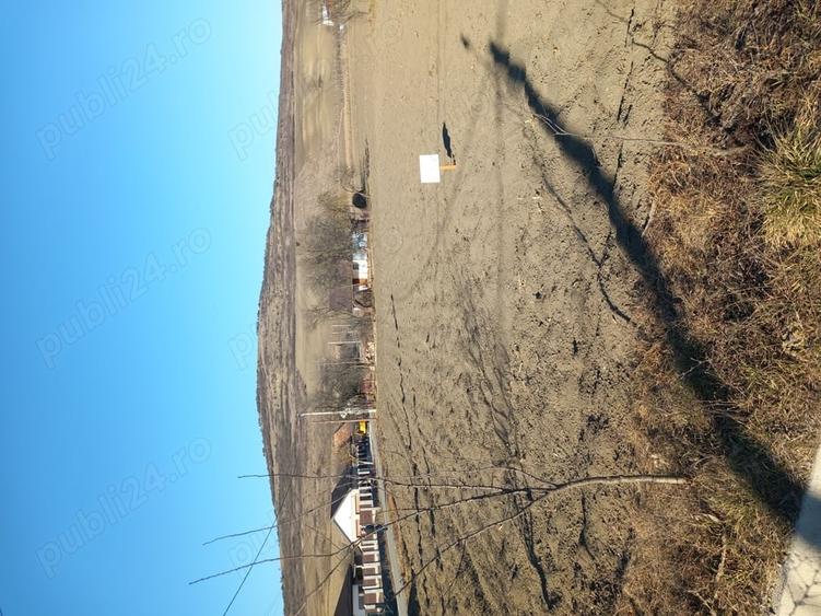 Teren de 1500 mp, în Borșa