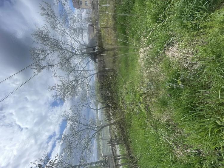 Casă cu Teren 1717 Mp în Ardusat