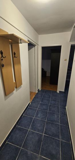 Apartament cu 2 camere decomandat în Paleu