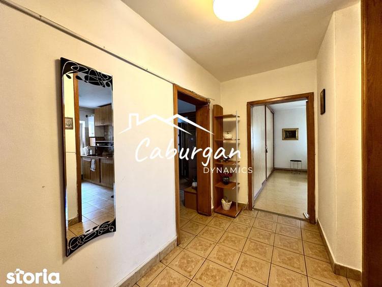 Apartament cu 3 camere decomandat, mobilat în Terezian