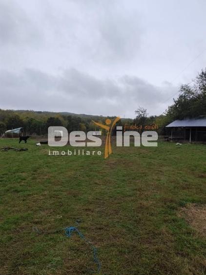 Casă cu 6 camere cu Teren 11250 Mp în Ștubeiu