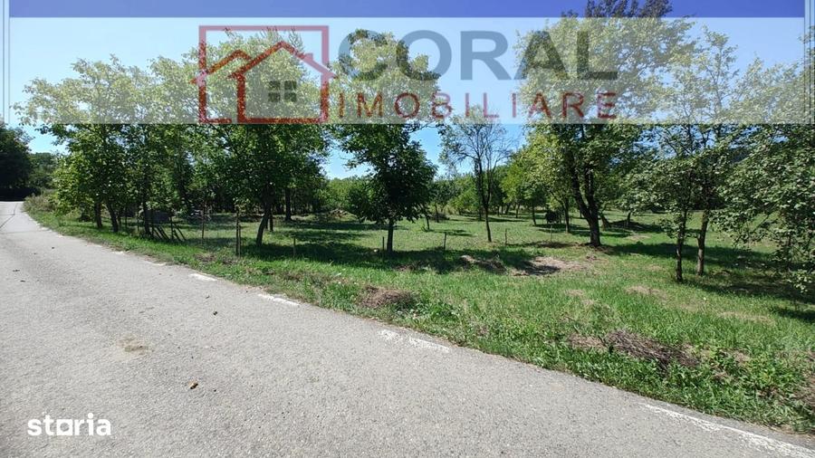 Teren de 2900 mp, în Hărău