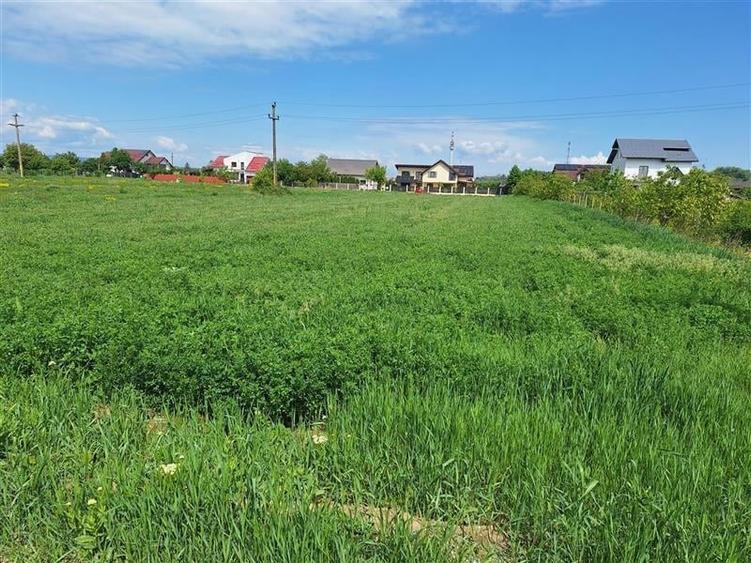 Teren Construcții intravilan de 3177 mp, în Șerbănești