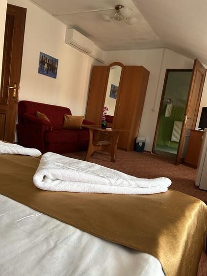 Apartament în Sub Arini