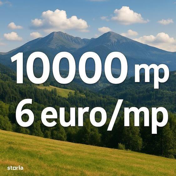 Teren de 10000 mp, în Cazasu