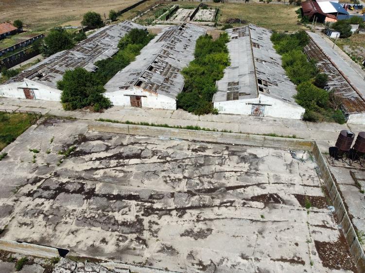 Spațiu industrial, de 7,950 mp, în Orțișoara