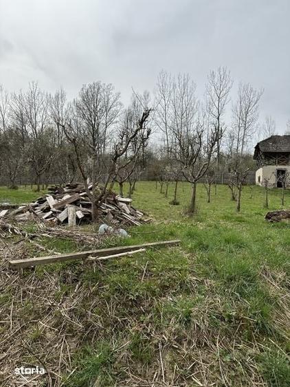 Teren de 2800 mp, în Berislăvești