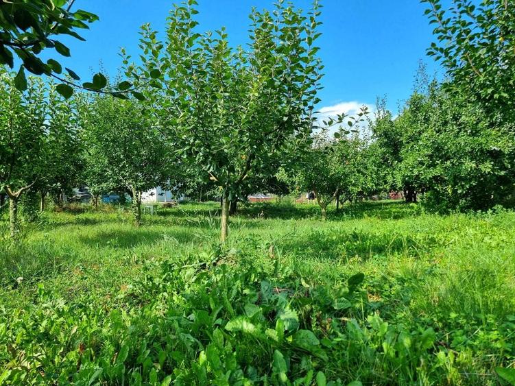 Casă cu 2 camere în Miron Costin