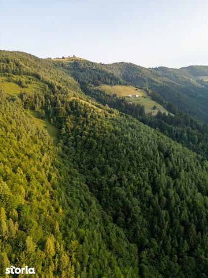 Teren autorizat cabana /AC Muntele Rece Jud Cluj Napoca 35 km de Cluj - 17