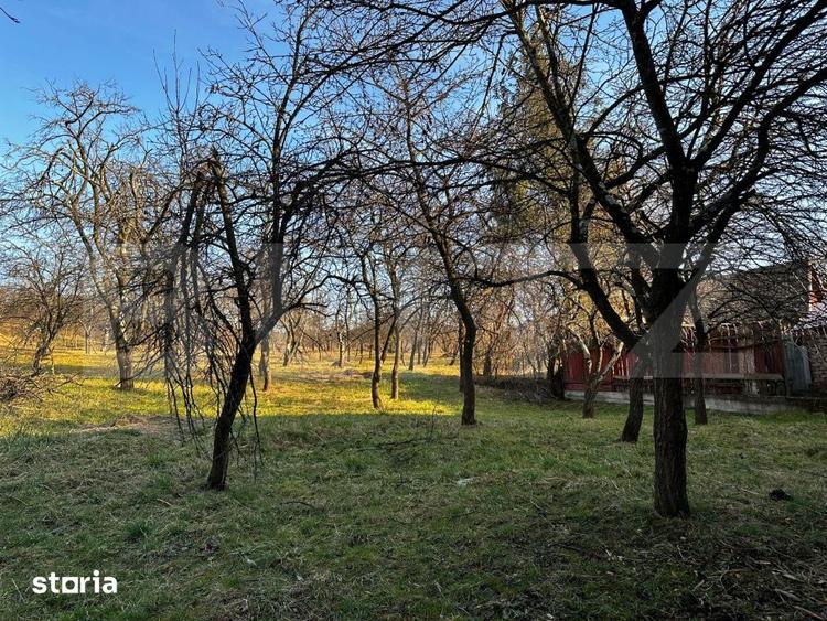 Casă cu 4 camere cu Teren 2500 Mp în Meseșenii de Jos