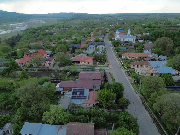 Casa cu teren Tifesti / Sarbi - 7