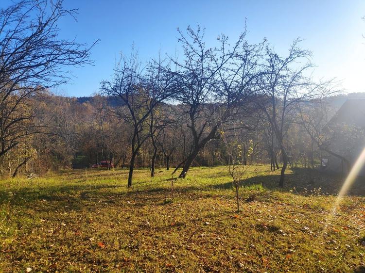 Spațiu comercial, în Cucuteni
