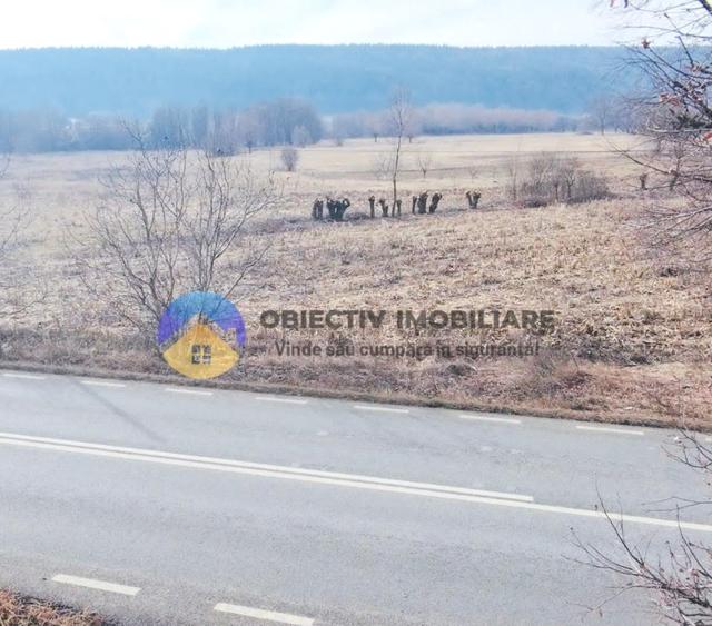 Teren intravilan de 3035 mp, în Bodești