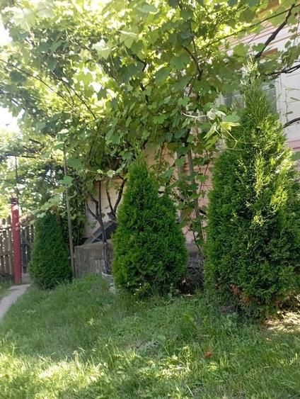 Casă cu 4 camere în Policiori