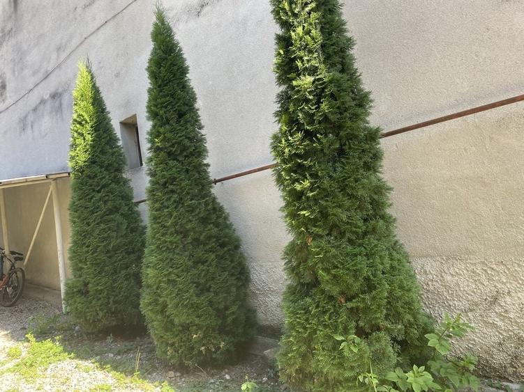 Garsonieră în Ultracentral