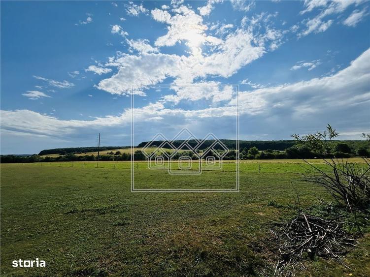 Teren intravilan, 5861 mp - Tocile - 2