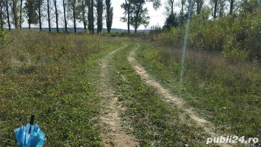 Teren de 1082 mp, în Siliștea Snagovului