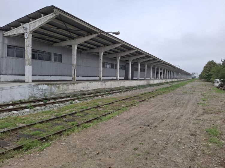 Spațiu industrial, de 7,521 mp, în Dornești