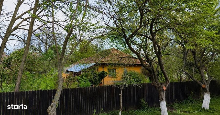 Casă cu 2 camere în Movilița