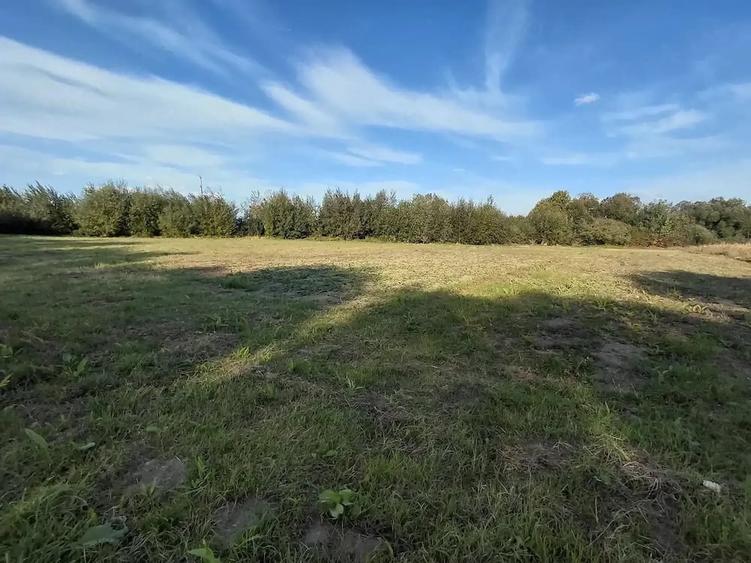 Teren de 4500 mp, în Stupinii Prejmerului