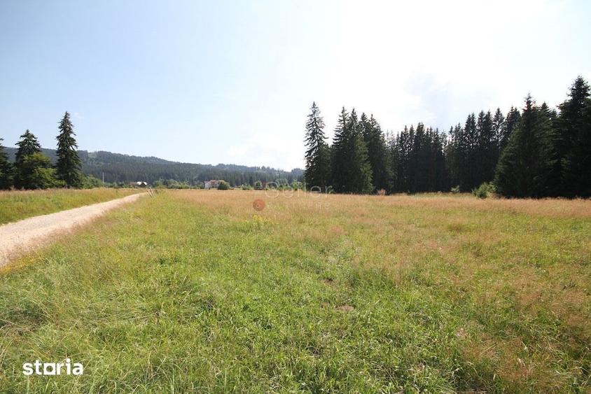 Teren de 8823 mp, în Predeal