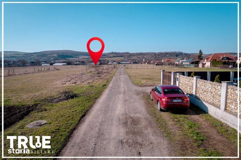 Spațiu comercial, în Curteni