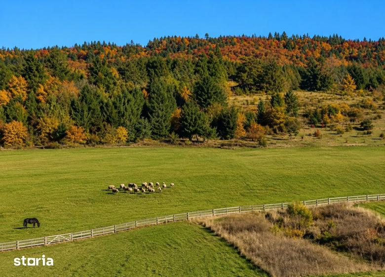 Teren de 1000 mp, în Central