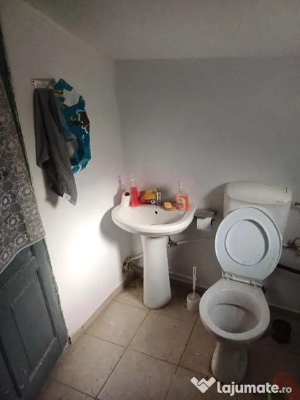 Casa batraneasca Colceag Prahova - Colceag (Prahova) - 10
